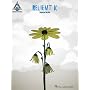 Relient K - MMHMM (Guitar Recorded Version)