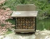 Squirrel Feeder