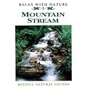 Mountain Stream