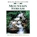 Mountain Stream