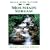 Mountain Stream