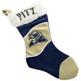 Pittsburgh Panthers Colorblock Stocking