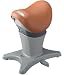 <STRONG>National</STRONG> <STRONG>乗馬フィットネス機器</STRONG> <STRONG>ジョーバフィット</STRONG> <STRONG>キャメルブラウン</STRONG>