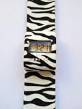 Zany Zebra