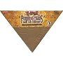 Yu-Gi-Oh Power of Chao: Yugi the Destiny Triangle Box Collector's Edition