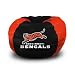 Cincinnati Bengals Bean Bag Chair