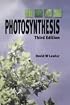 Photosynthesis
