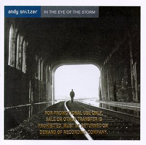 Andy Snitzer - In The Eye Of The Storm - Zortam Music