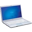 Sony VAIO(R) VGN-NW380F/S 15.5" Notebook PC - Silver