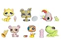 Get The Pets Series 02 - Set of 6