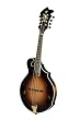 Breedlove Masterclass FF Mandolin, Made in U.S.A.