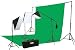 ePhoto 10 X 20 Large Chromakey Chroma KEY Green Screen Support Stands 3 Point Continuous Video Photography Lighting Kit H9004SB-1020G