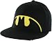 Search : Batman Split Logo Flow Baseball Cap