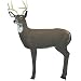 Delta Maxim Whitetail Buck 3D Target