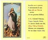 Oracion a La Virgen Maria Holy Card (700-050) - 10 pack