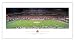 NCAA Ohio State Buckeyes 2006 Fiesta Bowl Stadium Picture