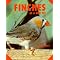 Finches
