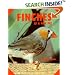 Finches As a New Pet