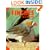 Finches As a New Pet