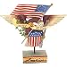 Jim Shore Heartwood Creek from Enesco Patriotic Eagle Figurine 8.5 IN