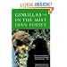 Gorillas in the Mist