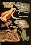 Fantastic Frogs