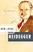 How to Read Heidegger (How to Read)