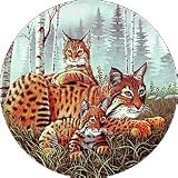 Bobcat And Cubs Spare Tire Covers