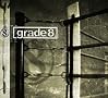 grade 8