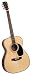 Blueridge BR-73 Contemporary 000 Guitar with Santos Rosewood