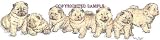 Chow Chow - Puppies in a Row by Cindy Farmer