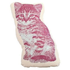 Kitten Pico Pillow