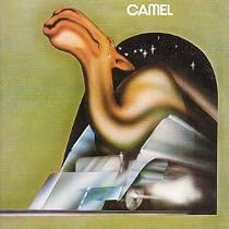 Camel