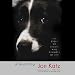 A Good Dog: The Story of Orson, Who Changed My Life (Unabridged)