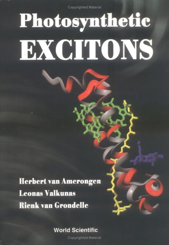 Photosynthetic Excitons under Photosynthesis in The Books Store