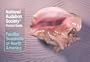 National Audubon Society Pocket Guide to Familiar Seashells (National Audubon Society Pocket Guides)