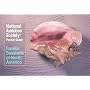 National Audubon Society Pocket Guide to Familiar Seashells (Audubon Society Pocket Guides)