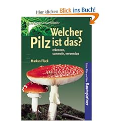 Welcher Pilz ist das?