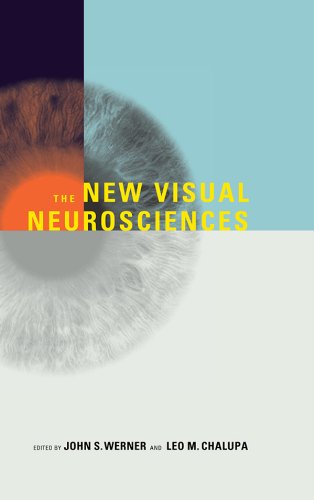 The New Visual Neurosciences (MIT Press)
