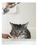 Bi-Monthly Bath Time Animals Photographic Poster Print by Michael Pettigrew, 16x20