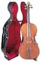 Yuan Qin Cello