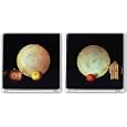 Japanese Persimmon and Asian Pear Set by Judy Mandolf 12"x12" Art Print Poster