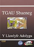 TGAU Sbaeneg : y llawlyfr adolygu