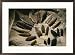 A collection of artifacts in the Smithsonians tool collection Framed Art Poster Print by Kenneth Garrett, 29x21 Image