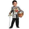 Knight of the Dragon Toddler Costume