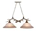 Vaxcel International Lighting Pendant