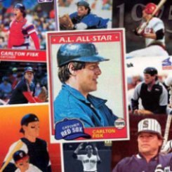10 Different Carlton Fisk Baseball Cards - Mint Condition In Display Album !!