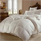 Himalaya 800 White Goose Down Comforter Size: Oversized Queen