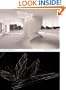 Contested Symmetries and Other Predicaments in Architecture