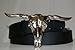 Texas Longhorn Hookem Horns Belt Buckle (6x3.00)